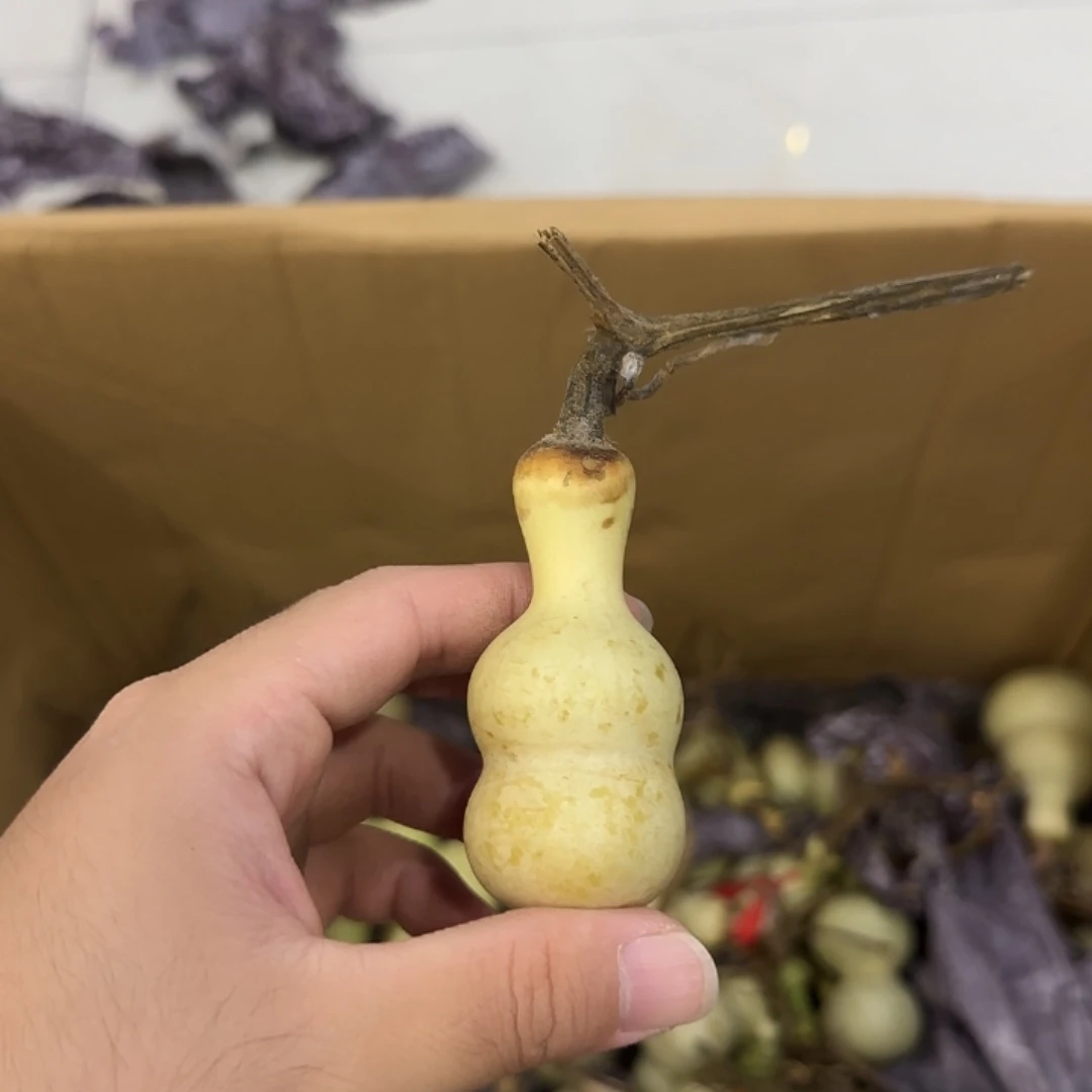 聃***驾葫芦dndndnsnsnsns