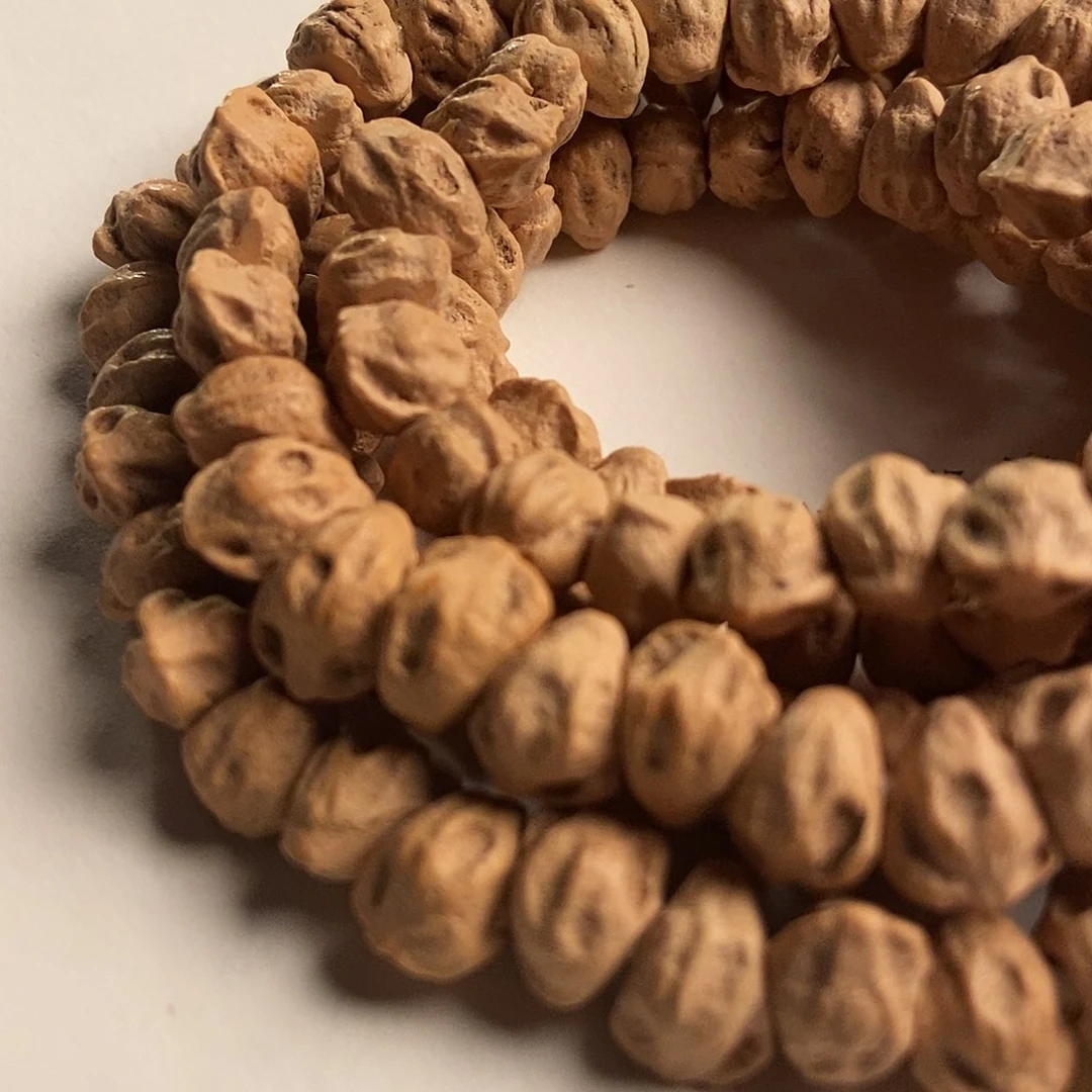 吊坠柏香籽/百香籽玄甲