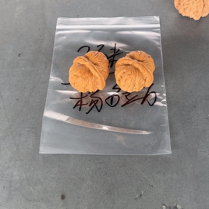 杨***万文玩核桃吊坠了啦啦啦啦