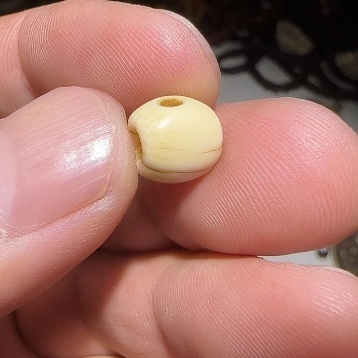 藏区老高白三痛保老漂亮