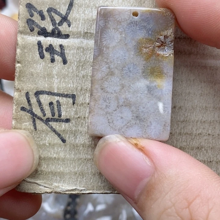 颈饰未镶嵌硅化珊瑚（珊瑚玉）s*浪小