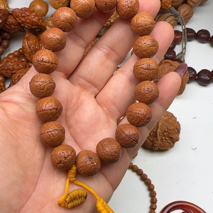 菩提菩提菩提菩提凤眼