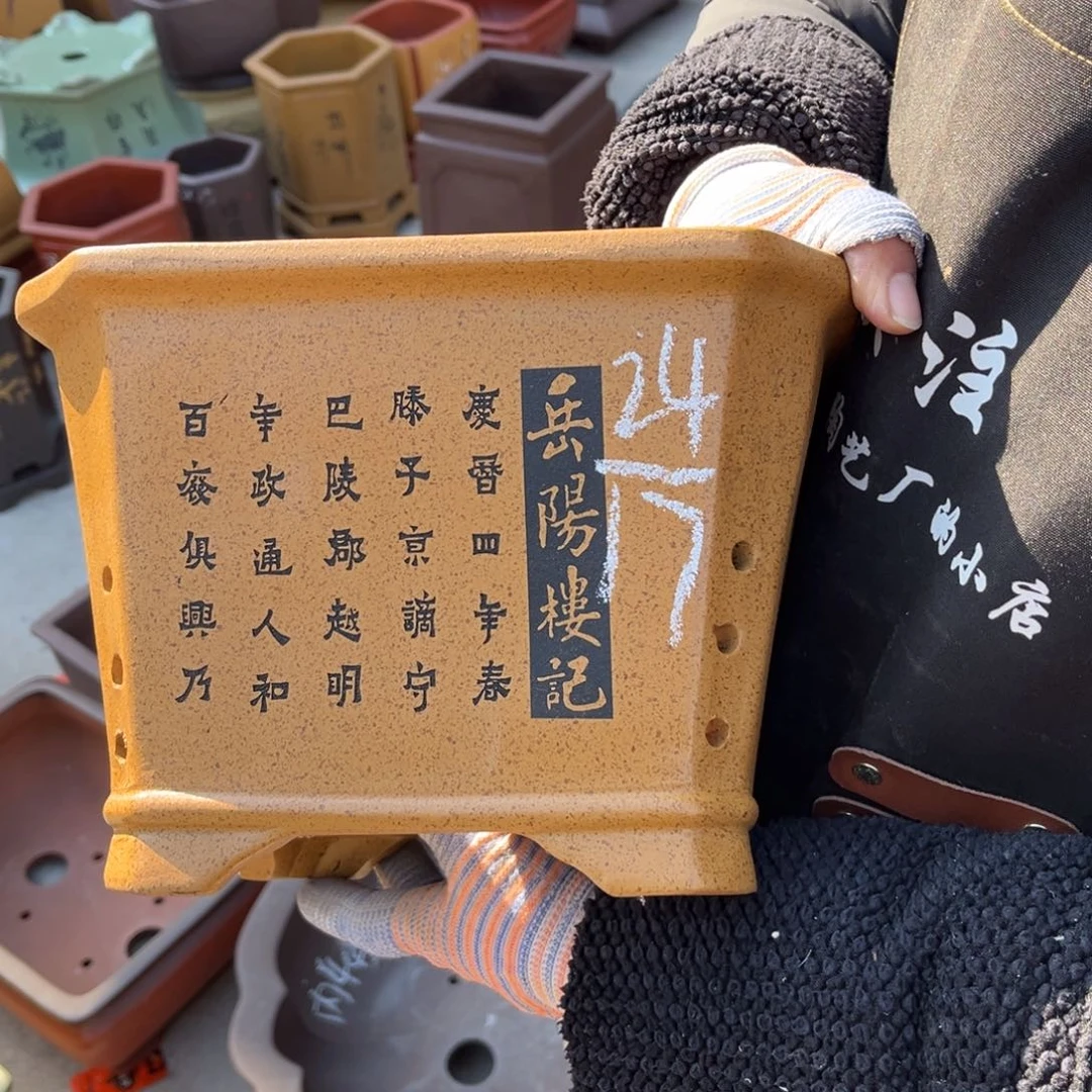 紫砂花盆盆景艺术