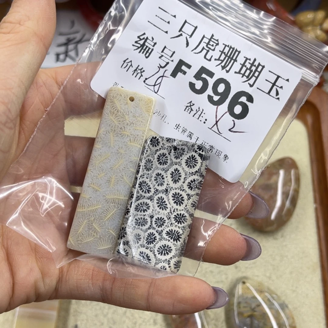 T***y未镶嵌h硅化珊瑚（珊瑚玉）