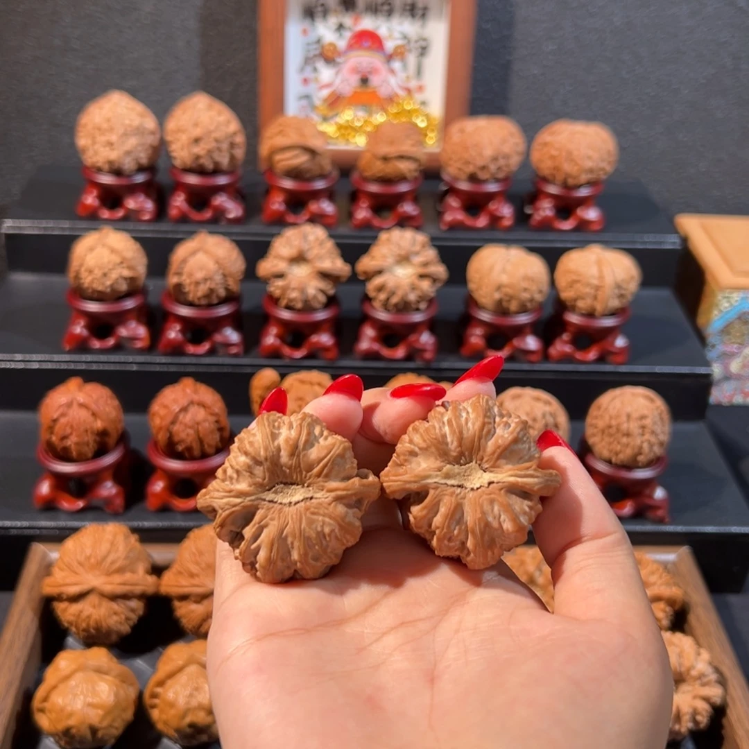 文玩核桃把件白狮子精品