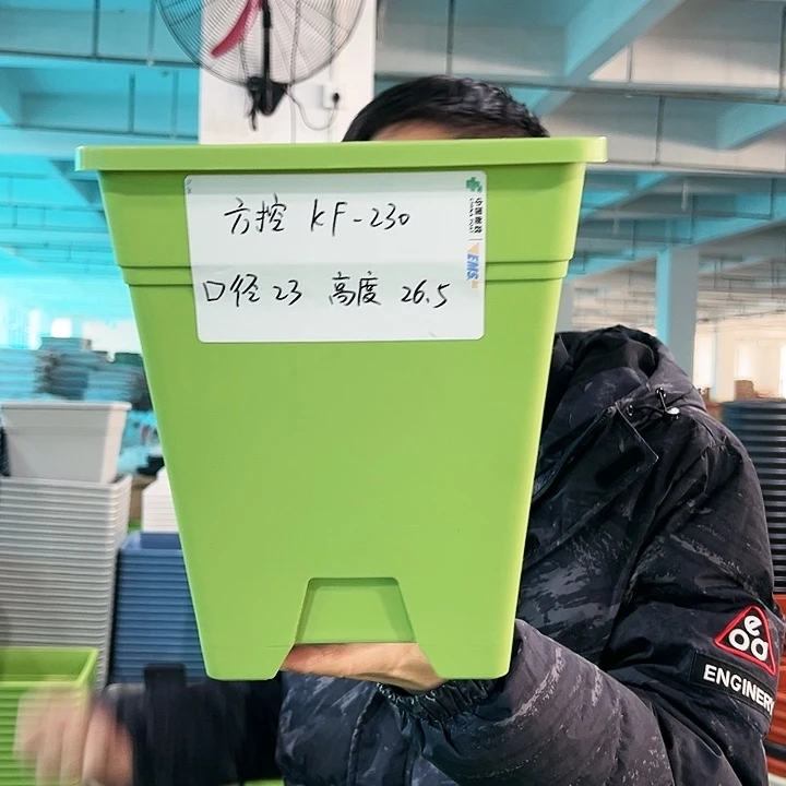 正品方盆口23高26果绿无托5只