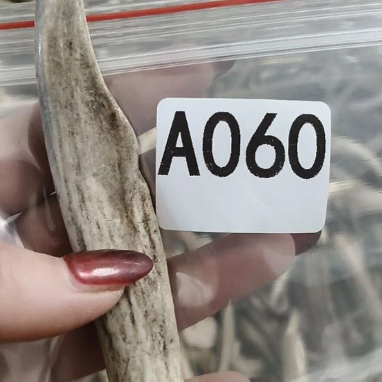 菜***羊鹿角鹿角鹿角角鹿角角