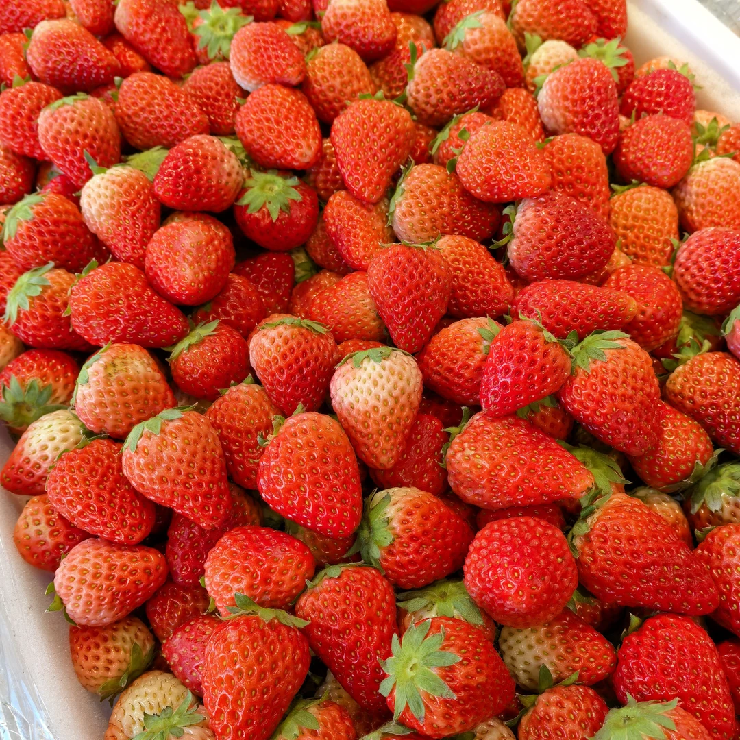 红颜小草莓2斤一盒