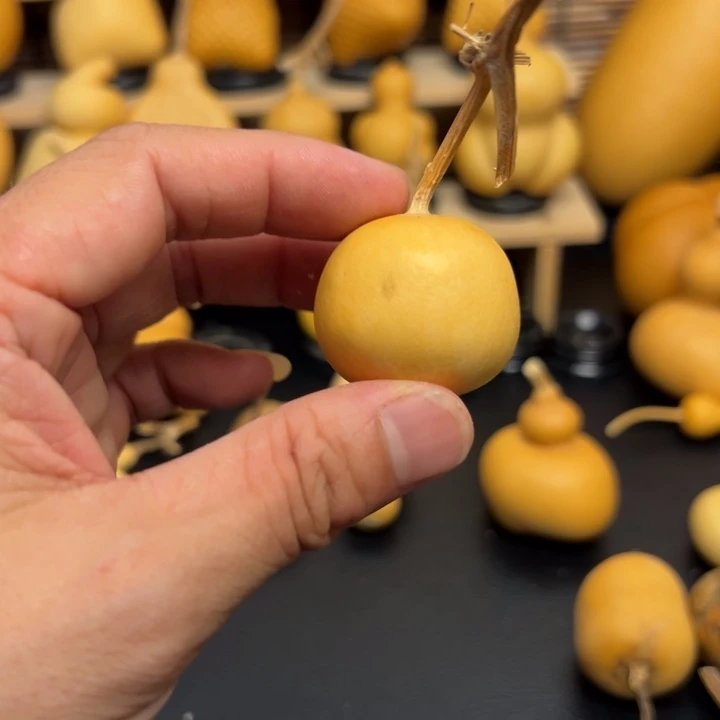 小*睛455565663365569969