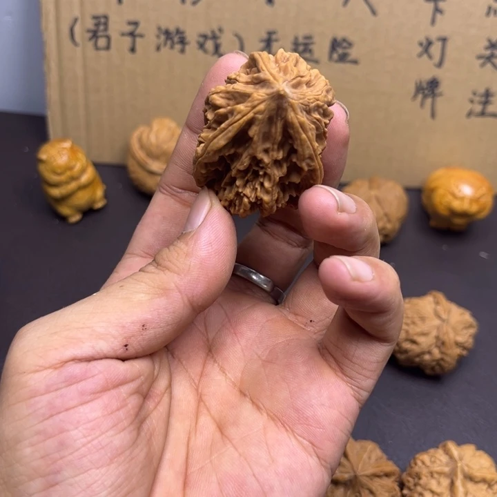 时***间菩提籽类三棱大高尖
