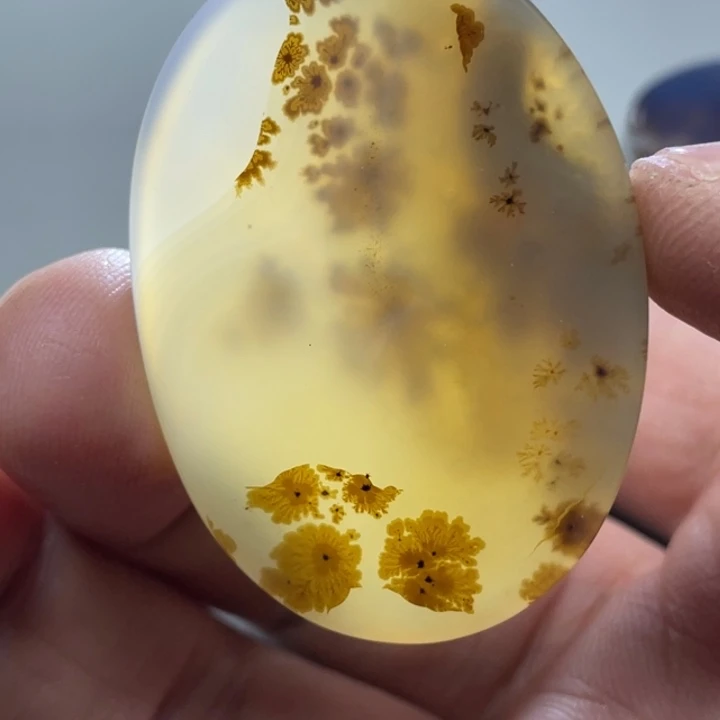 玛瑙/玉髓颈饰未镶嵌呵*米