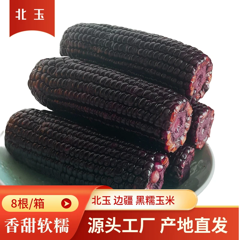 【24年头茬玉米加工】东北香糯黑糯玉米均重220g*8到手8根