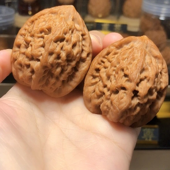 原生态：金公子货头