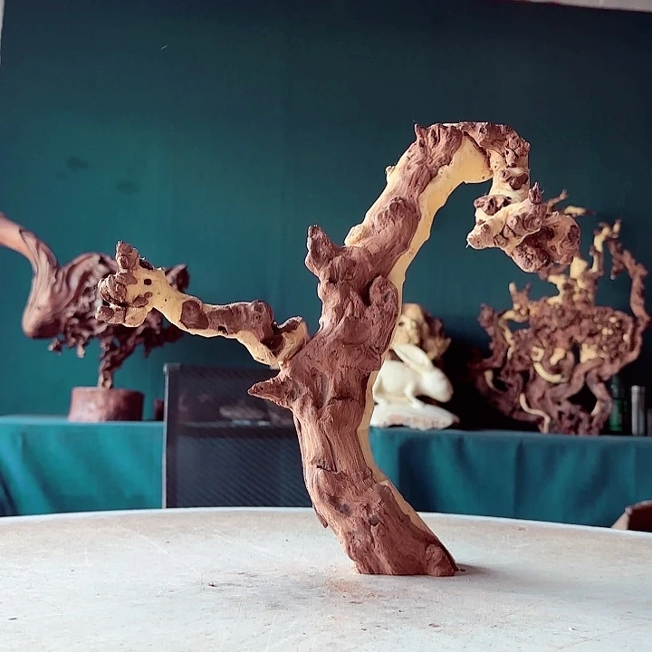 黑果木怡****艺572 金丝红木羊蹄甲半成品