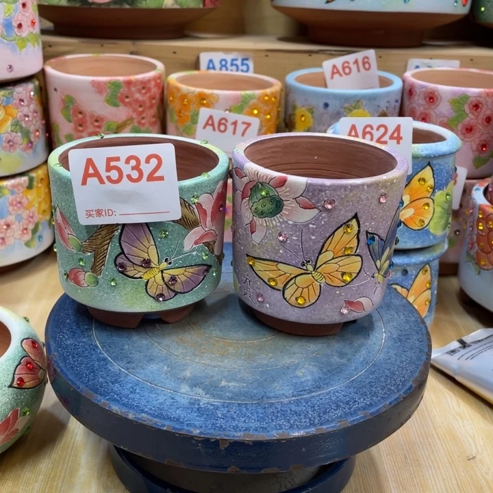 多肉花盆特价福利拇指