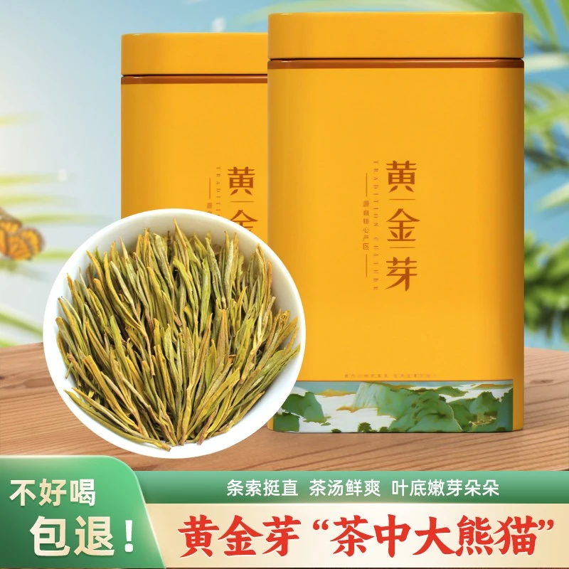 2025年新茶【H23】高山黄金芽浓豆香耐泡好茶原产地茶叶明后
