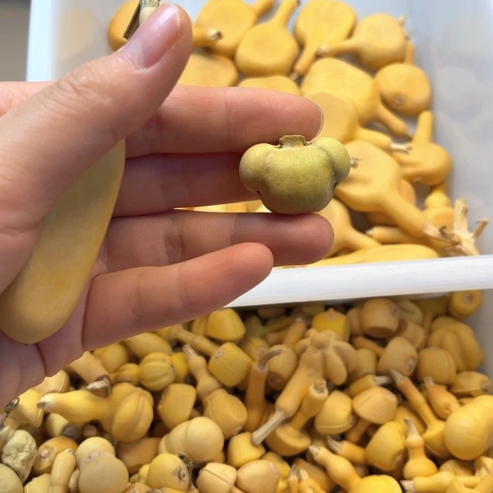 Y****y葫芦葫芦葫芦葫芦