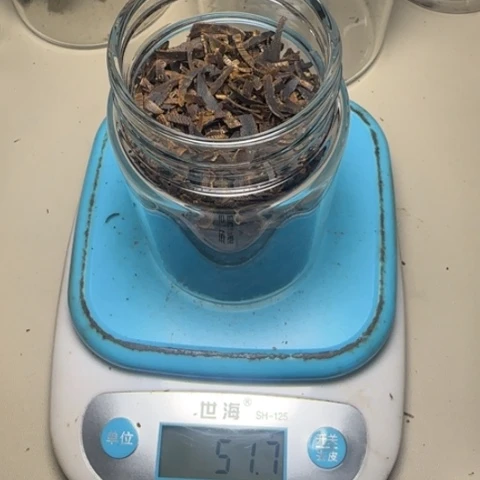 树脂制品在**方海南张勺子切丝香51g