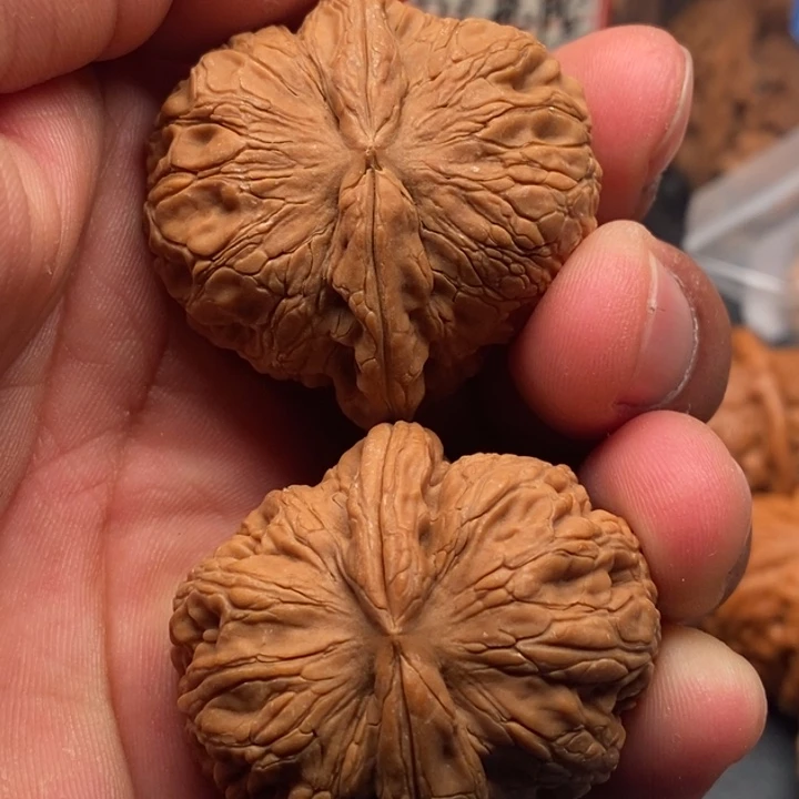 文玩核桃把件元宝42