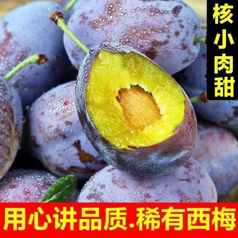 M 大西梅新鲜当季正宗西梅整箱包邮