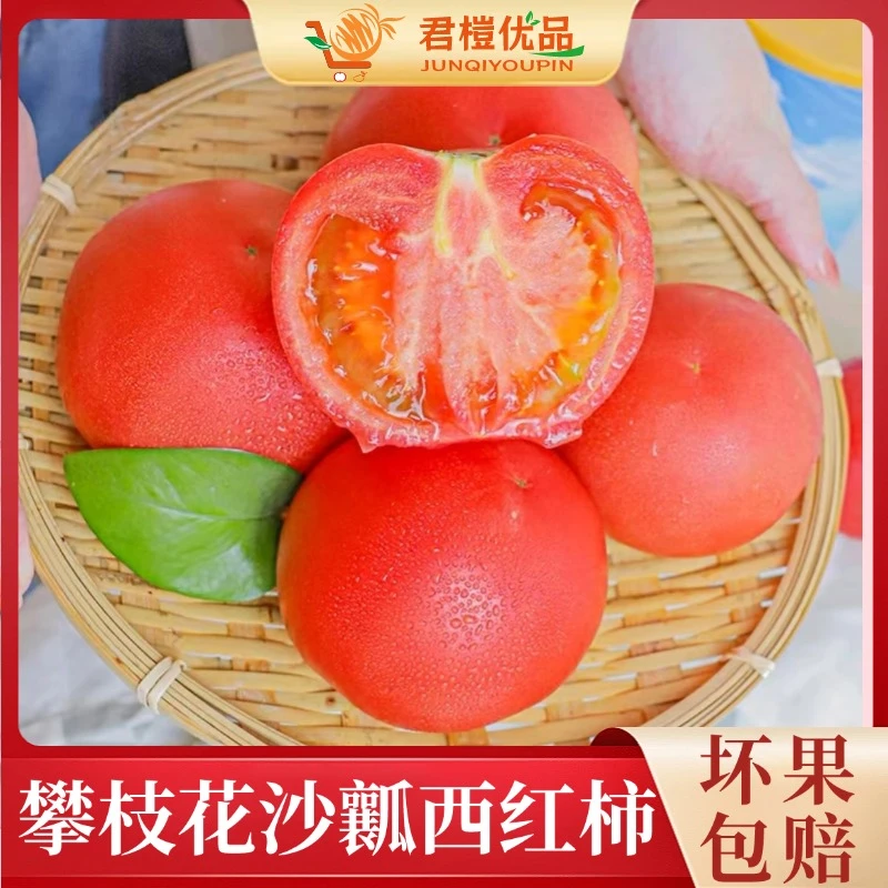 【攀枝花沙瓤西红柿】露天番茄酸甜多汁自然熟四川产地直销水果蔬菜