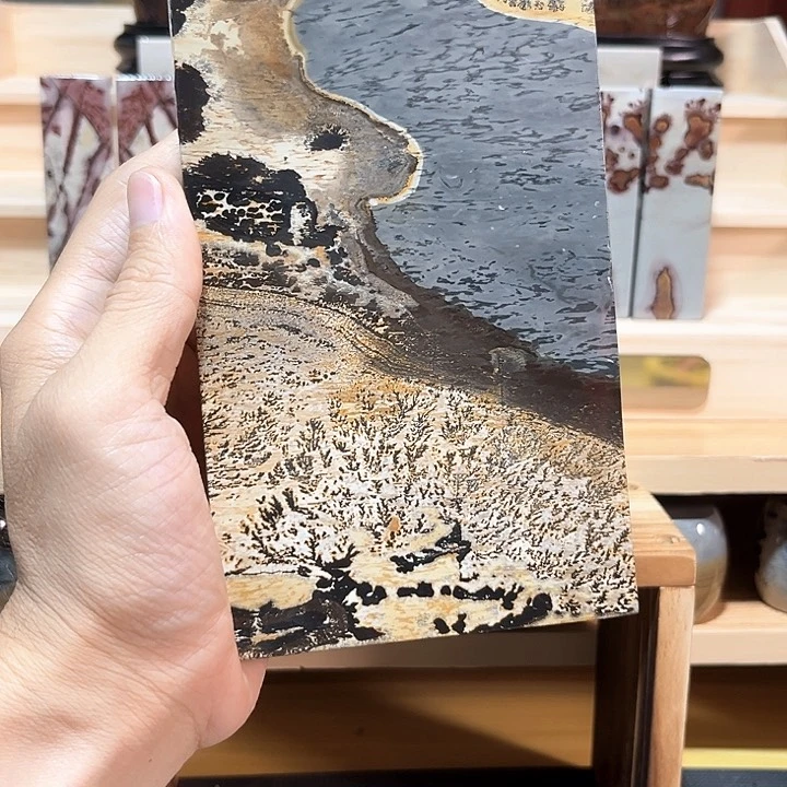 本***计广西国画石国画石