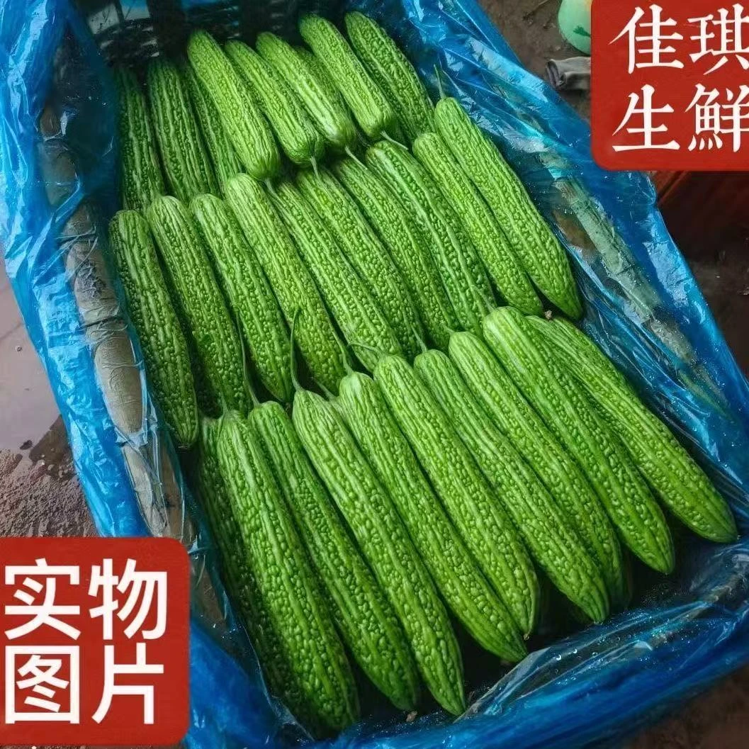 农家自种新鲜苦瓜现摘现发绿心蔬菜整箱包邮