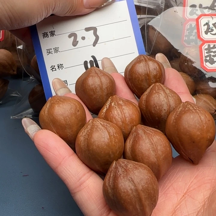 手串橄榄核橄榄核