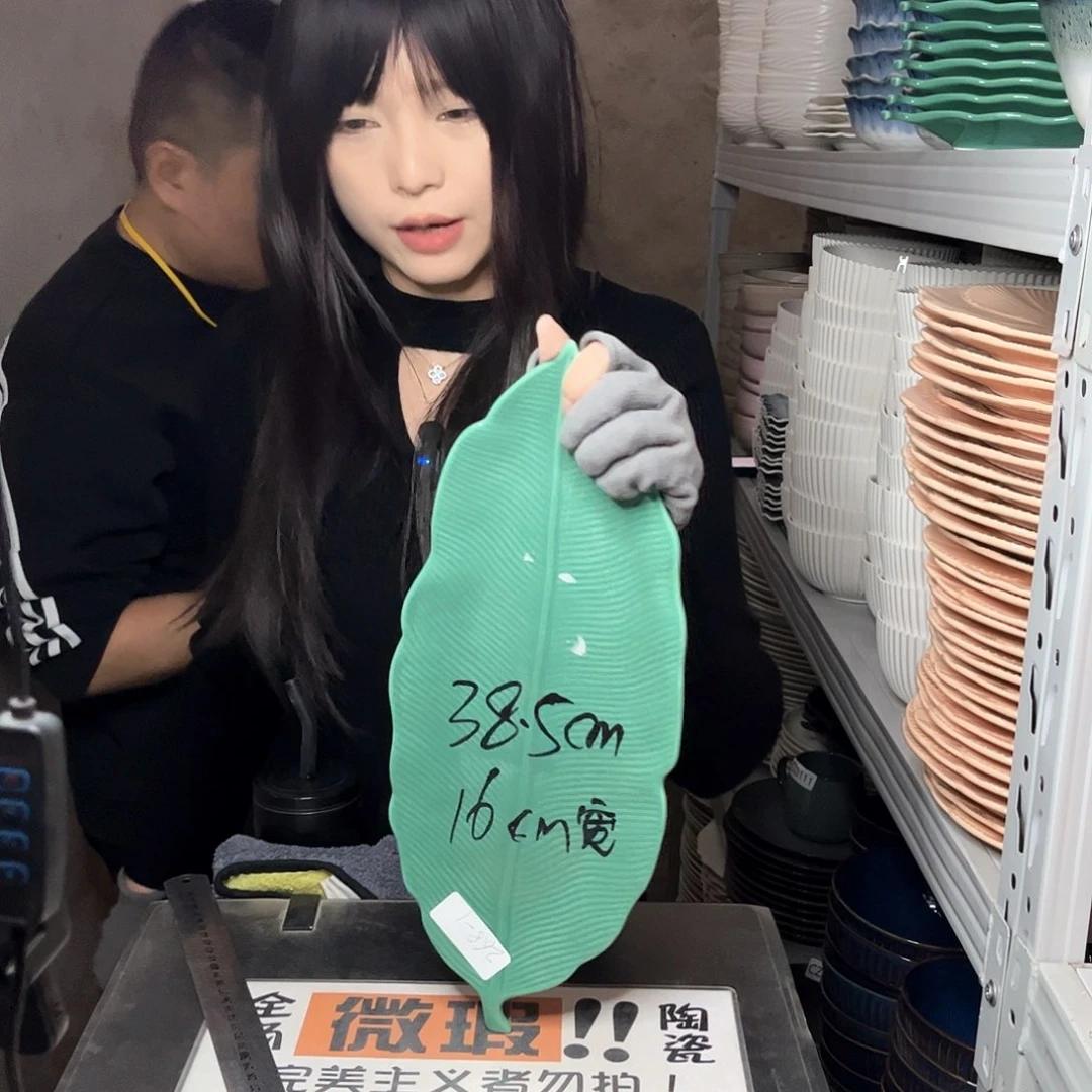 瓷片058。            1个