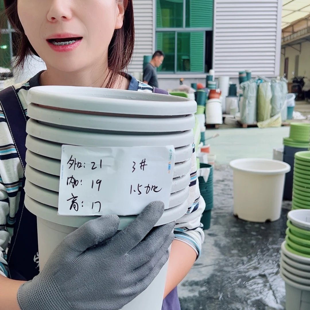 四季盆3#灰白10个无托