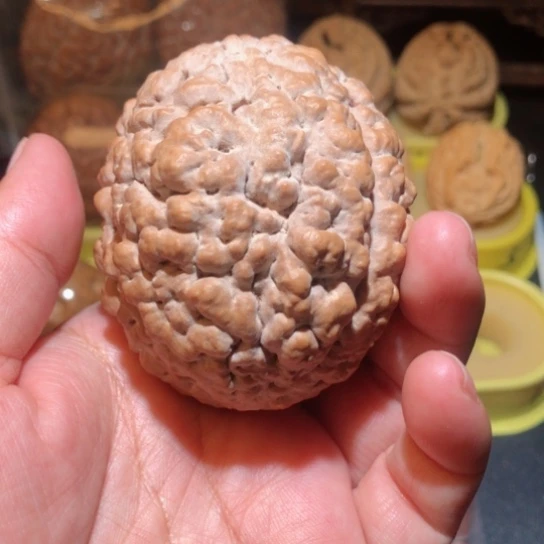 文玩核桃把件?单只金刚菩提