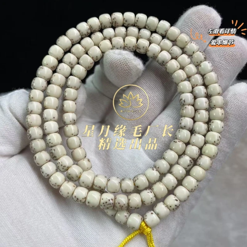 PH33原生态星月菩提河豚6*5mm文玩好物【多样性发货】