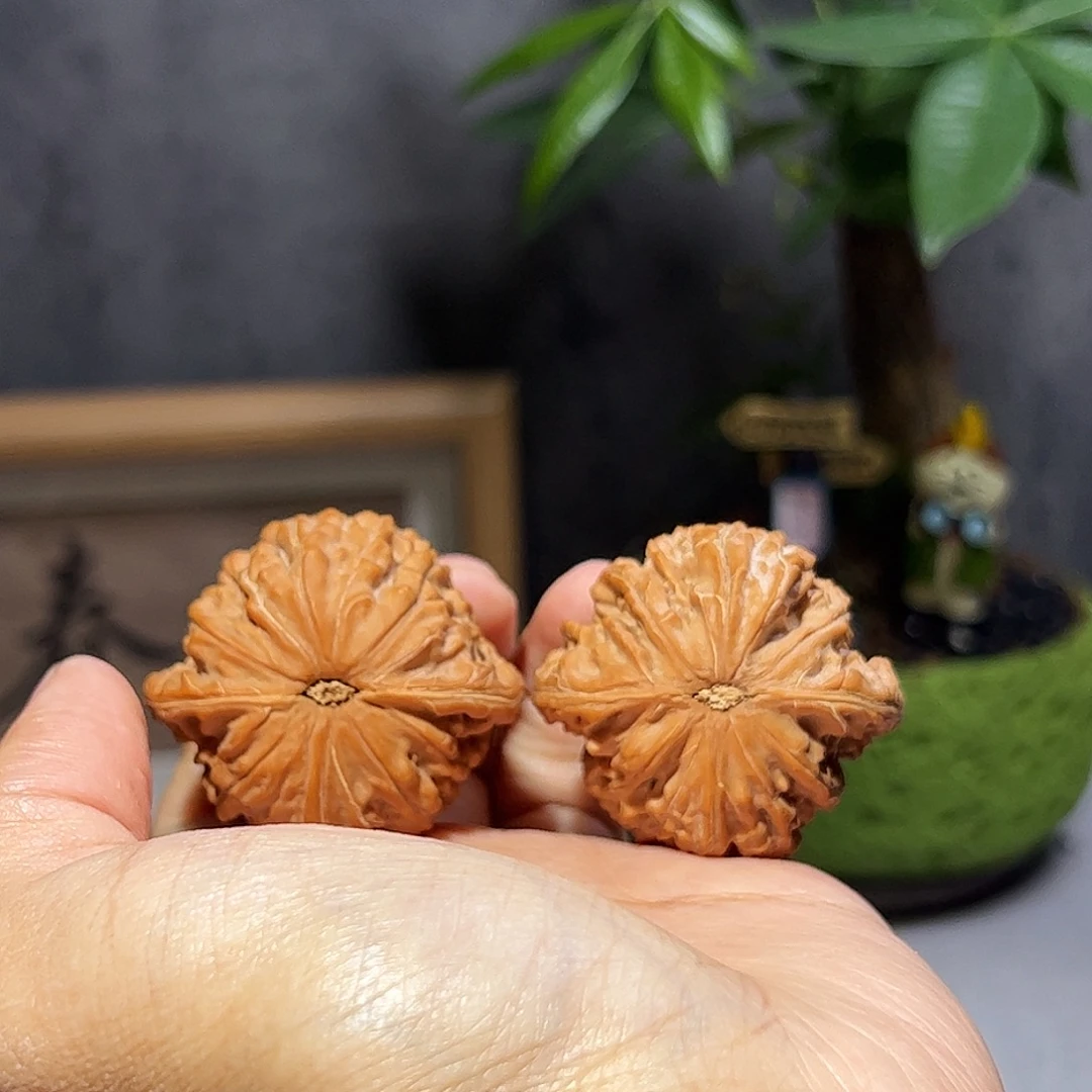 胖***虎核桃40房山一代山地磨全品