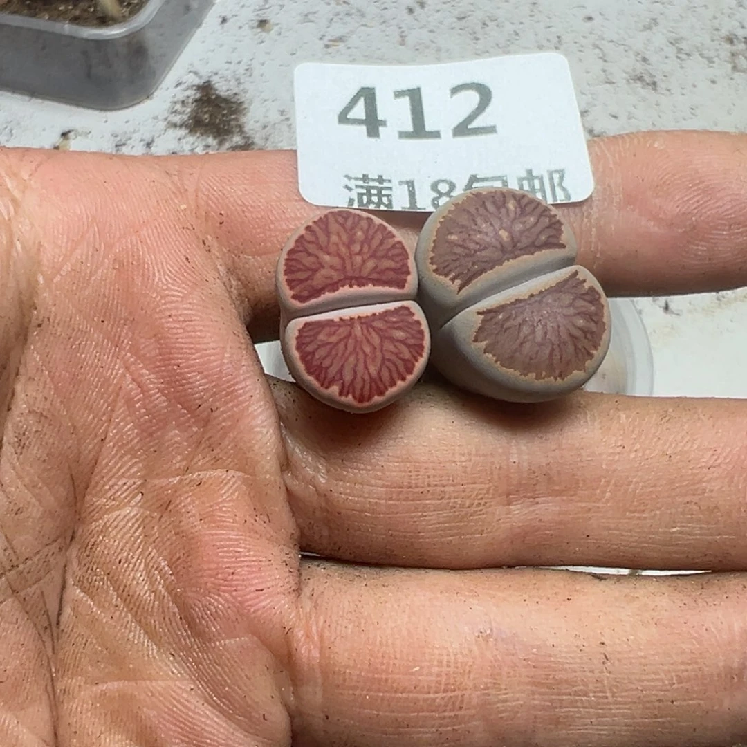 【闪购商品】*️** 412。
