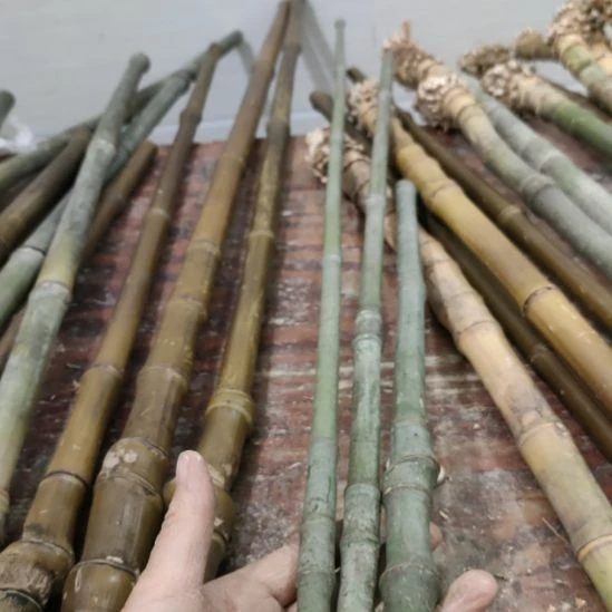 想***实心玉竹手把件金条料