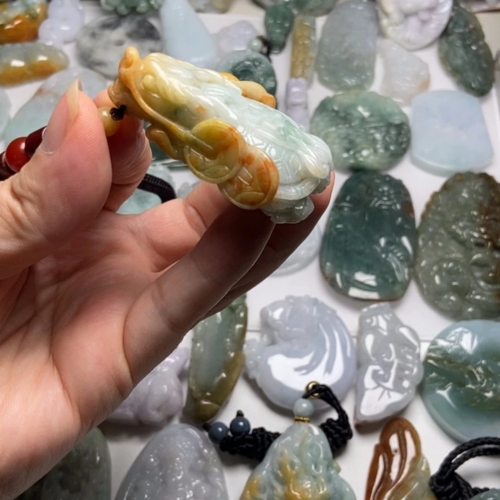 翡翠未镶嵌颈饰龙龟48