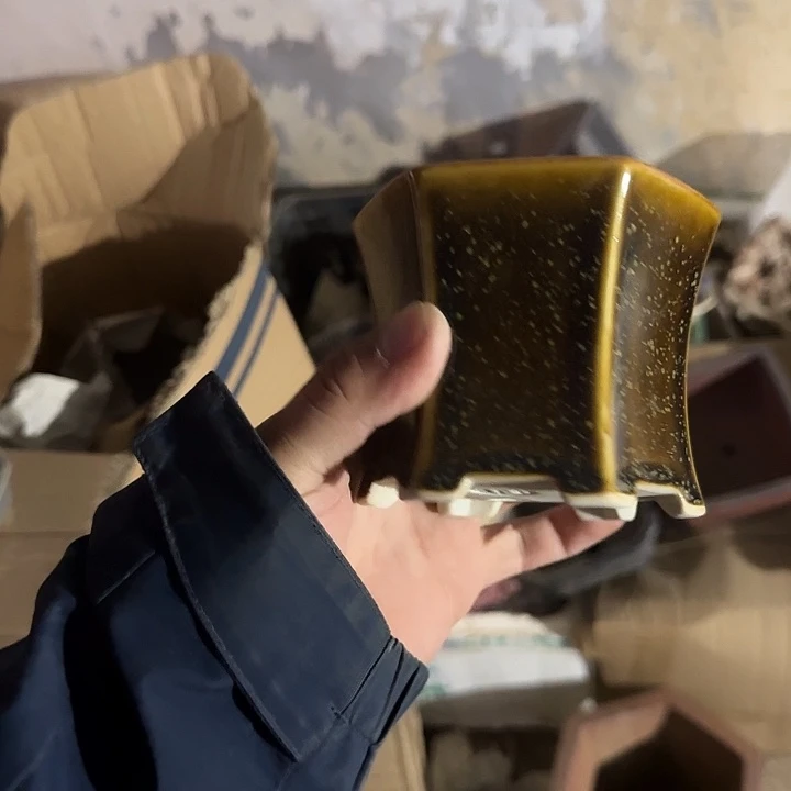 是一个不知名作家与著名导演兼电影演员们之间