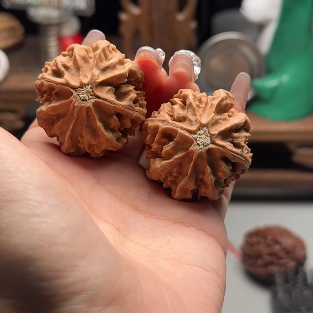 文玩核桃把件龙***布关东木子楸百核146