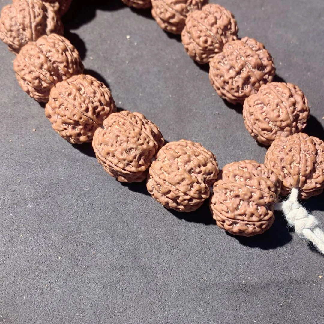 21尺寸原皮原色梅花双龙大金刚