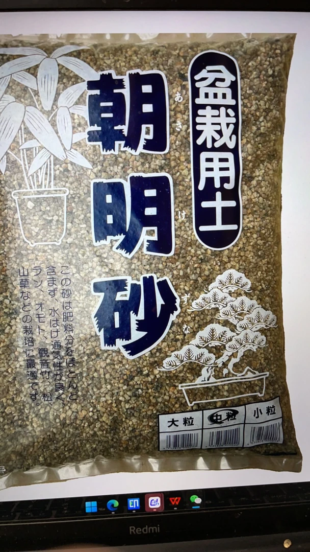 5斤装日本进口朝明砂3-6