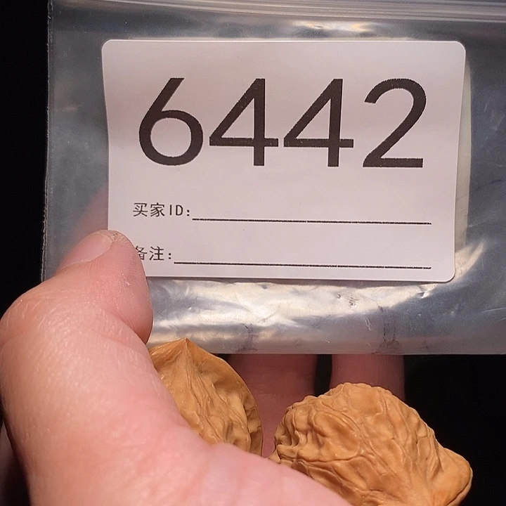 文玩核桃把件文玩核桃把件