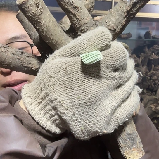 香榧木食***店火琉璃的故事毛料摆件