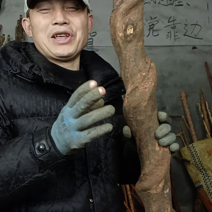 稳定木根**乐贵州檬子木   铁马鞭   根艺  半成品