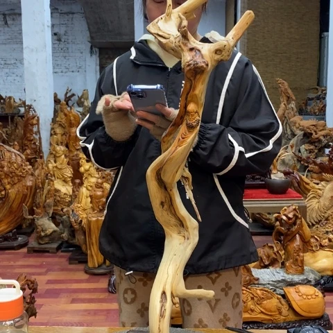 柏木（崖柏）勤**力太行崖柏陈化料摆件