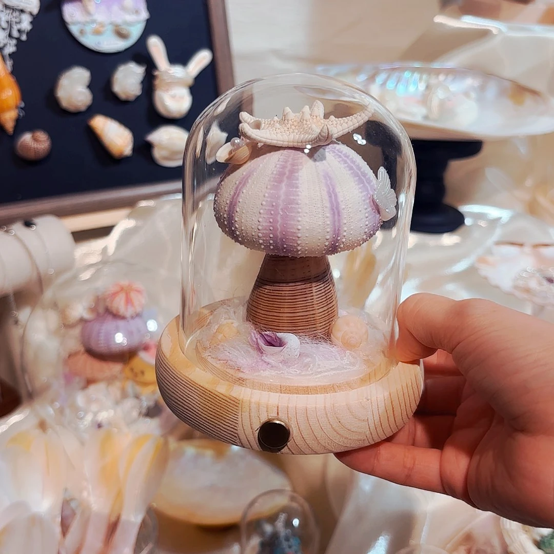 贝壳手串/手链小海星