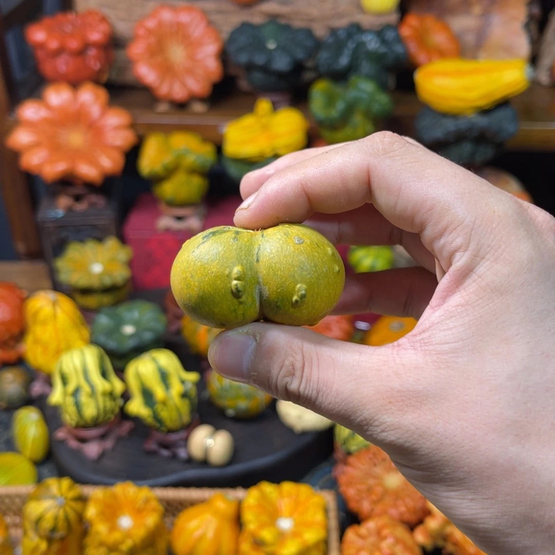 土***肉哈喽哈喽葫芦了哈喽哈喽了哈喽哈喽