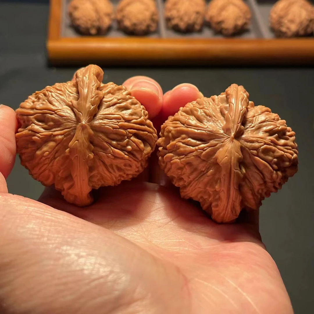 47-48左右白狮子文玩核桃对核桃