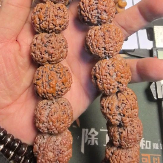 用***2金刚菩提把件五星蜂王大金刚手持，27左右尺寸，原皮原色