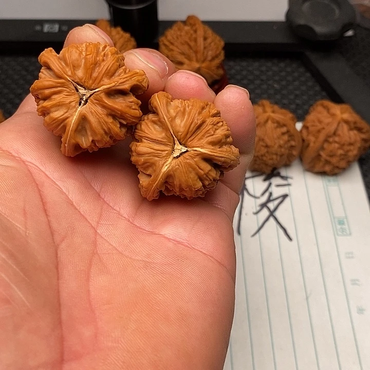 核桃手串/手链白狮子2