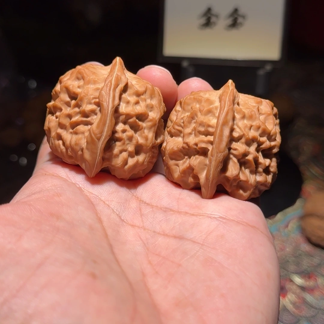拉***斯把件核桃1238核欢，尺寸39 41 42